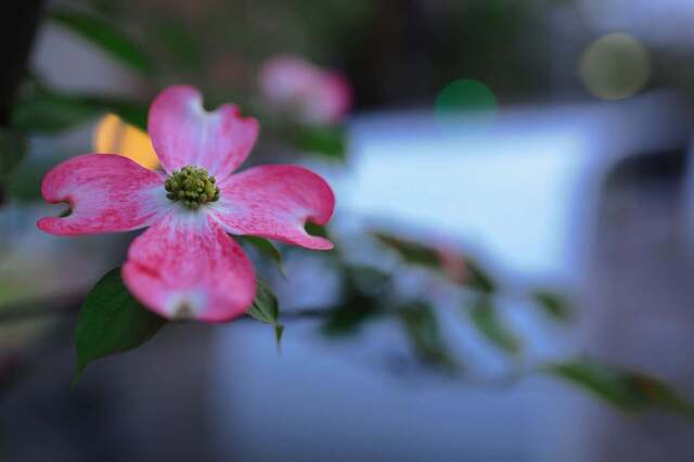 5D3_3971_2048x1365_補正済.jpg