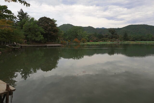 5D3_3980_2048x1365_補正済.jpg