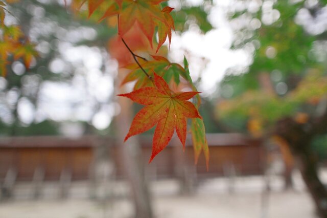 5D3_4101_2048x1365_補正済.jpg