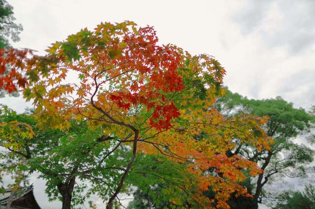 5D3_4103_2048x1365_補正済.jpg