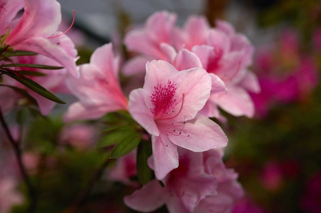 5D3_4268_2048x1365_補正済.jpg