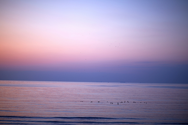 5D3_4269_2048x1365_補正済.jpg