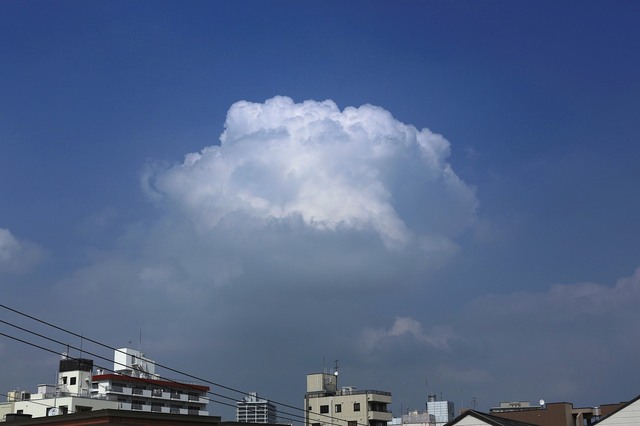 5D3_4346_2048x1365_補正済.jpg