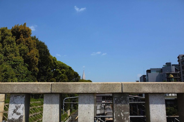 5D3_4377_2048x1365_補正済.jpg