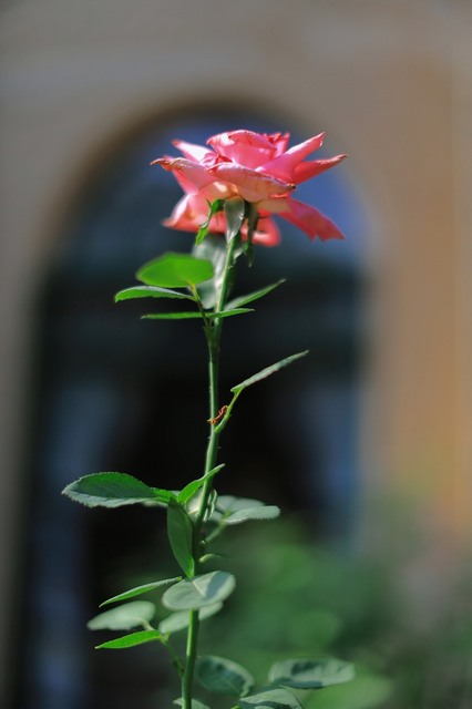 5D3_4484_2048x1365_補正済.jpg