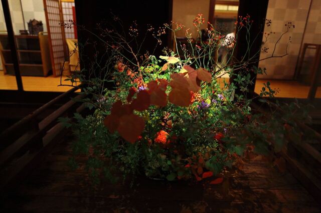 5D3_4660_2048x1365_補正済.jpg