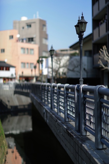 5D3_4683_2048x1536_補正済.jpg