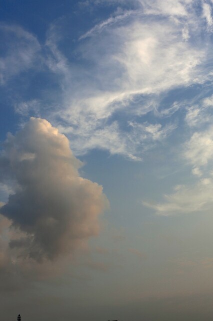 5D3_4964_2048x1365_補正済.jpg