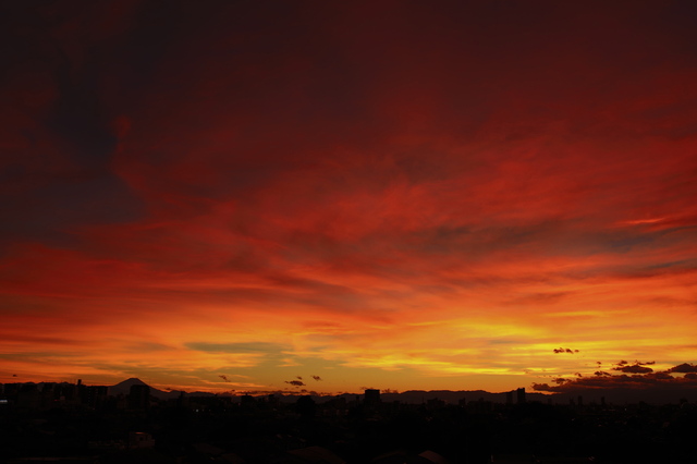 5D3_5141_2048x1365.jpg