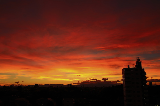 5D3_5153_2048x1365.jpg