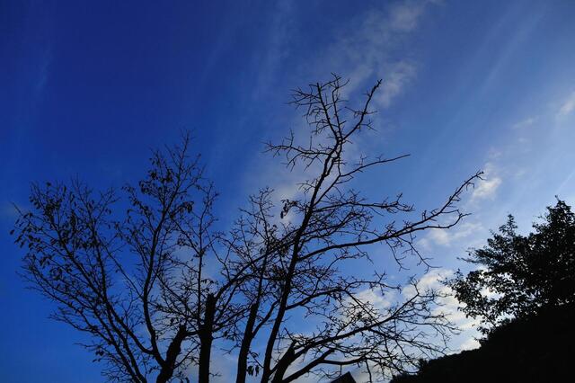 5D3_5158_2048x1365_補正済.jpg