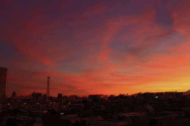 5D3_5165_2048x1365.jpg