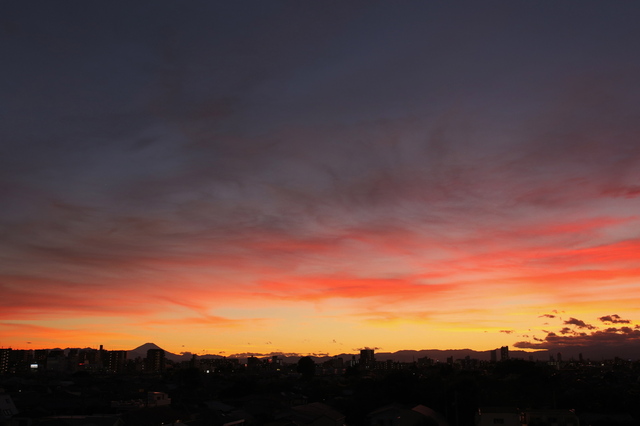 5D3_5225_2048x1365.jpg