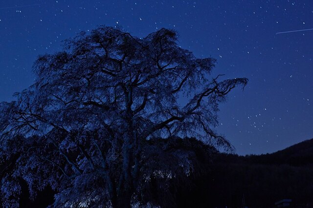 5D3_5302_2048x1536_補正済.jpg
