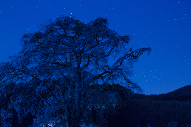 5D3_5302_CameraRAW_2048.jpg