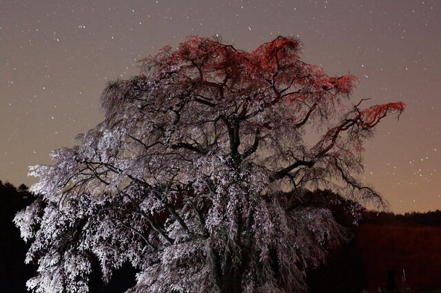 5D3_5304_2048x1365_補正済.jpg