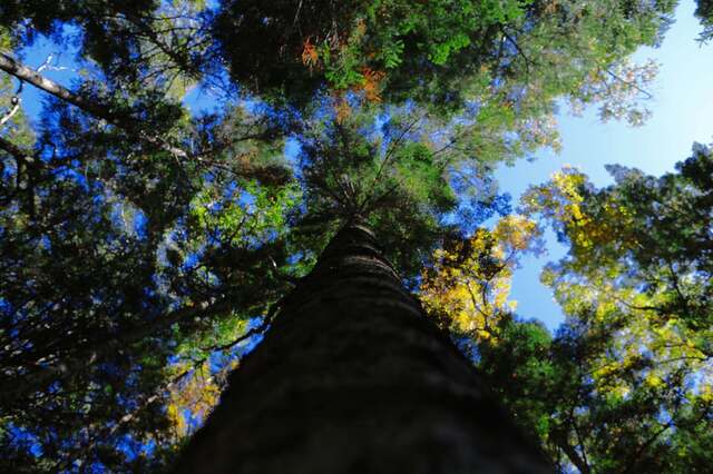 5D3_5319_2048x1365_補正済.jpg