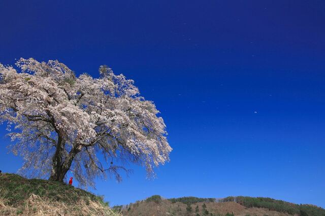5D3_5413_2048x1365_補正済.jpg