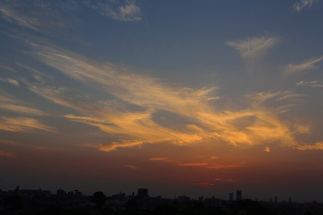 5D3_5430_2048x1365_補正済.jpg