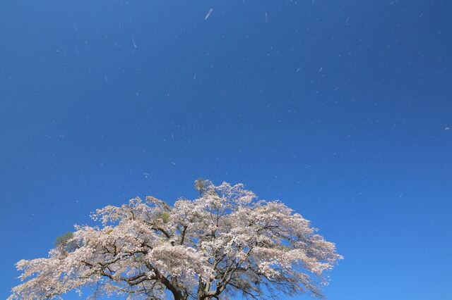 5D3_5434_2048x1365_補正済.jpg