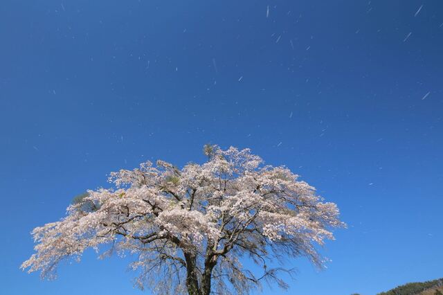 5D3_5437_2048x1365_補正済.jpg