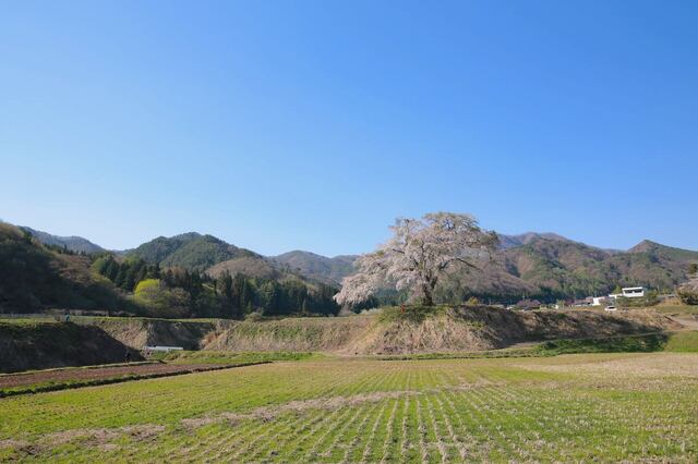 5D3_5454_2048x1365_補正済.jpg