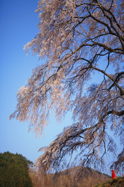5D3_5462_2048x1365_補正済.jpg