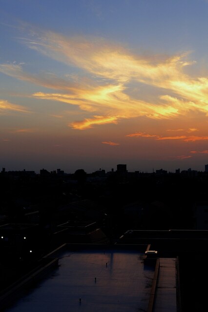 5D3_5467_2048x1365_補正済.jpg