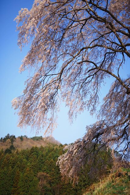 5D3_5468_2048x1365_補正済.jpg