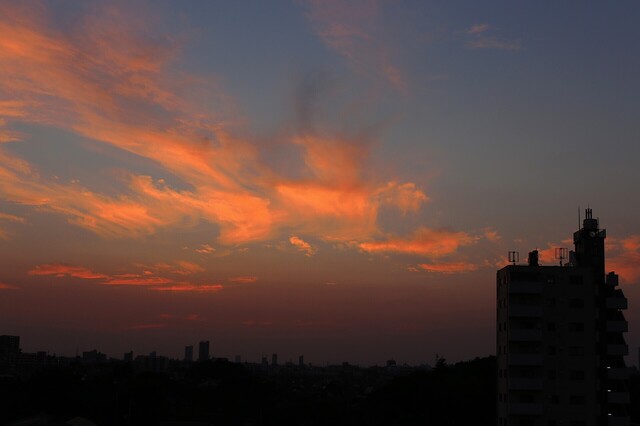 5D3_5494_2048x1365_補正済.jpg