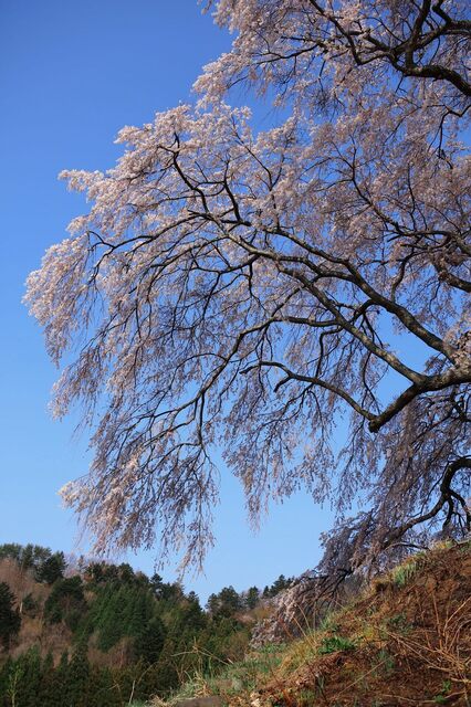 5D3_5501_2048x1365_補正済.jpg