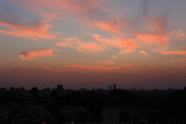 5D3_5502_2048x1365_補正済.jpg