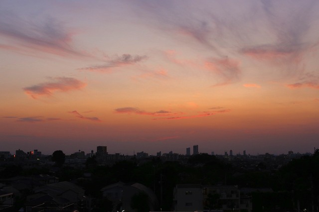 5D3_5506_2048x1365_補正済.jpg