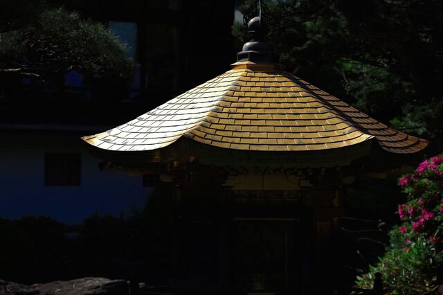 5D3_5930_2048x1365_補正済.jpg