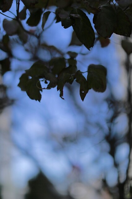 5D3_5949_2048x1365_補正済.jpg