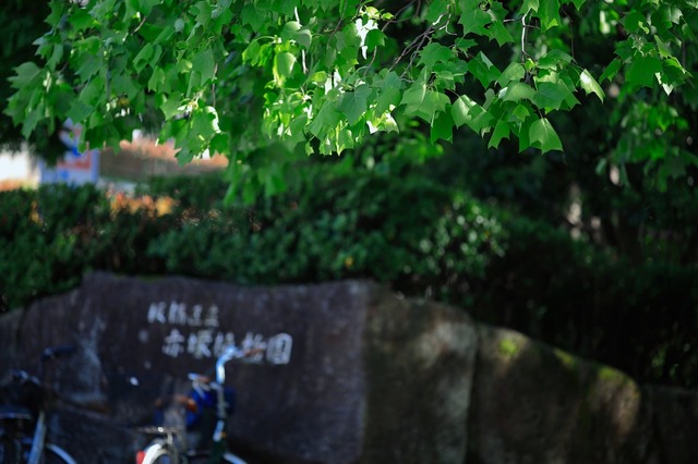 5D3_5953_2048x1365_補正済.jpg