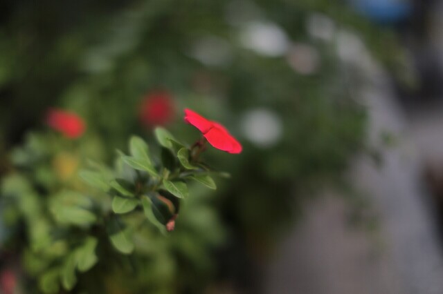 5D3_5965_2048x1365_補正済.jpg