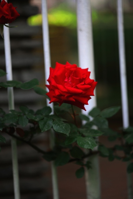 5D3_5973_2048x1365_補正済.jpg