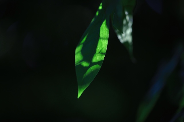 5D3_5984_2048x1365_補正済.jpg