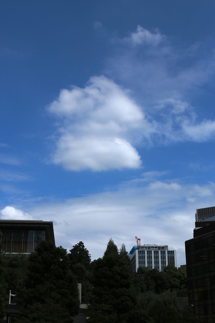 5D3_5984_2048x1365_補正済.jpg