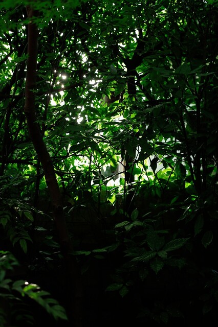 5D3_6004_2048x1365_補正済.jpg