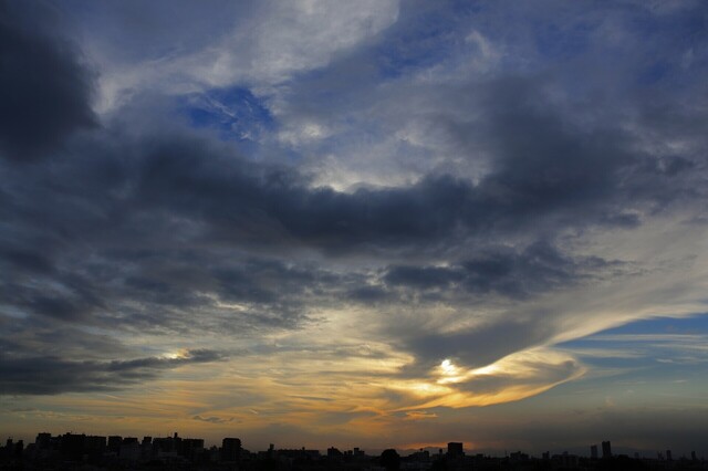 5D3_6026_2048x1365_補正済.jpg
