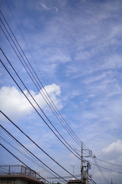 5D3_6085_2048x1365_補正済.jpg