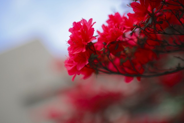 5D3_6103_2048x1365_補正済.jpg
