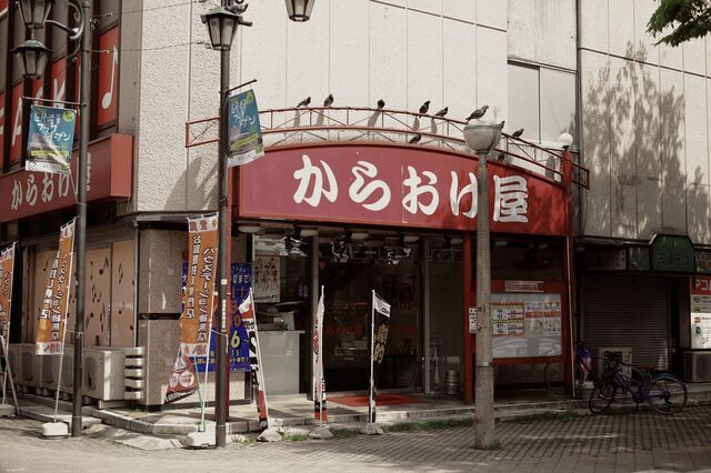 5D3_6119_2048x1365_補正済.jpg