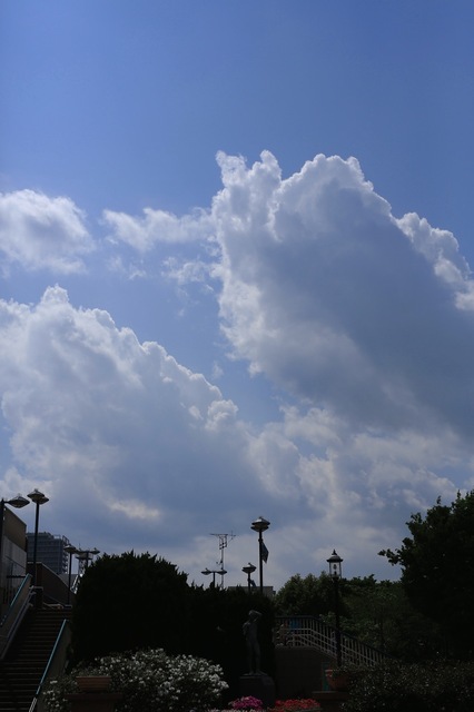 5D3_6124_2048x1365_補正済.jpg