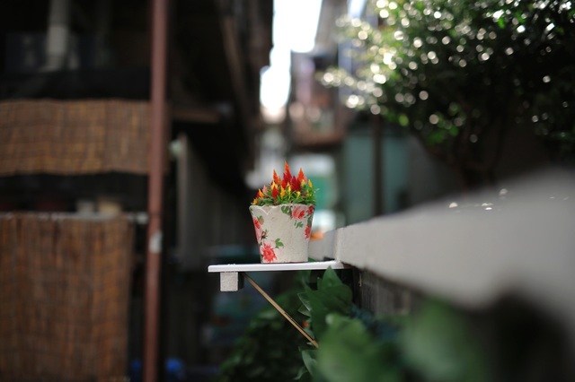 5D3_6146_2048x1365_補正済.jpg