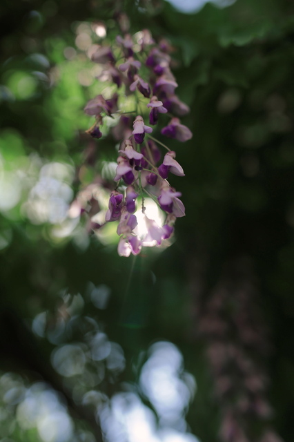5D3_6148_2048x1365_補正済.jpg