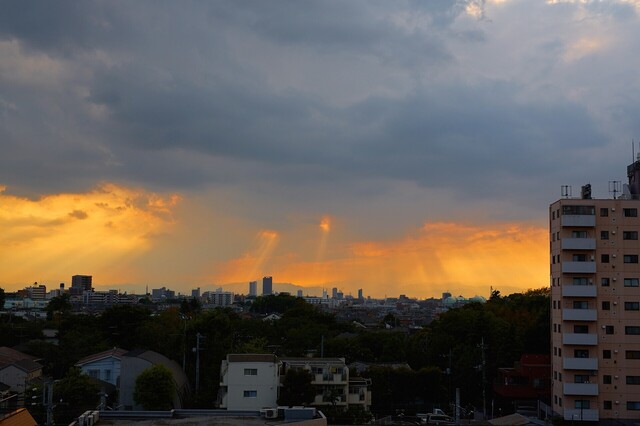 5D3_6173_2048x1536_補正済.jpg