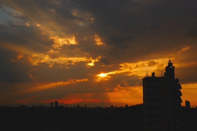 5D3_6213_2048x1536_補正済.jpg